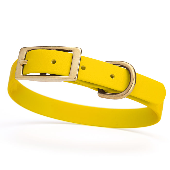 Lemon Yellow dog collar with brass buckle and D-ring, made from waterproof Biothane, small