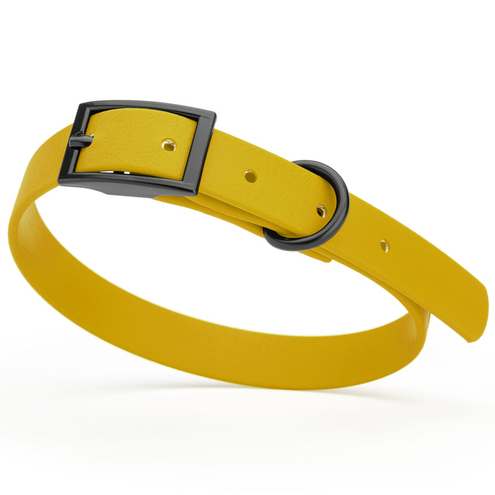 Treasure Gold dog collar with black hardware, made from waterproof Biothane, small