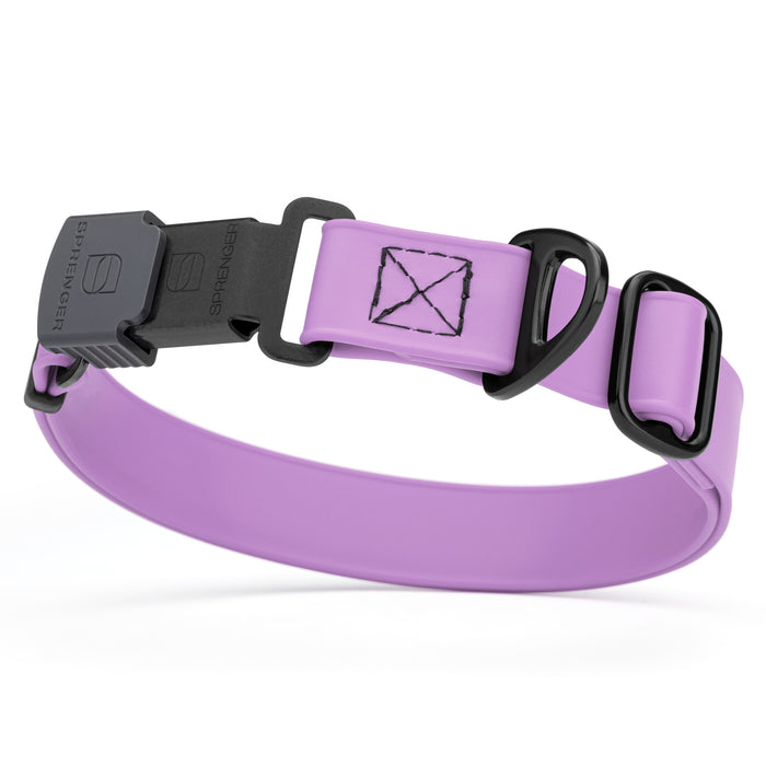 Amethyst Purple dog collar with black stainless steel Herm Sprenger quick release buckle, made from waterproof Biothane