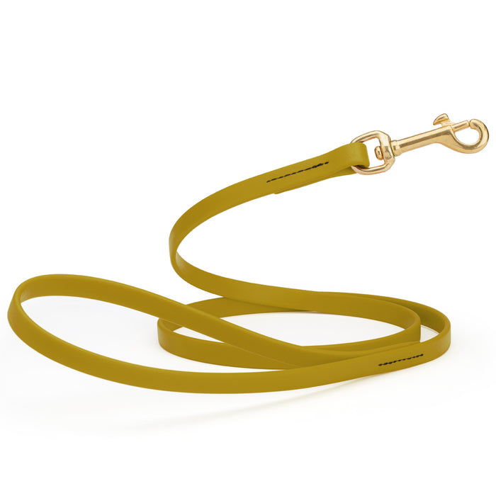 Treasure Gold dog leash with brass snap hook, made from waterproof Biothane, 1/2 inches wide