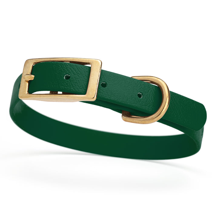 Hunter Green dog collar with brass buckle and D-ring, made from waterproof Biothane, small