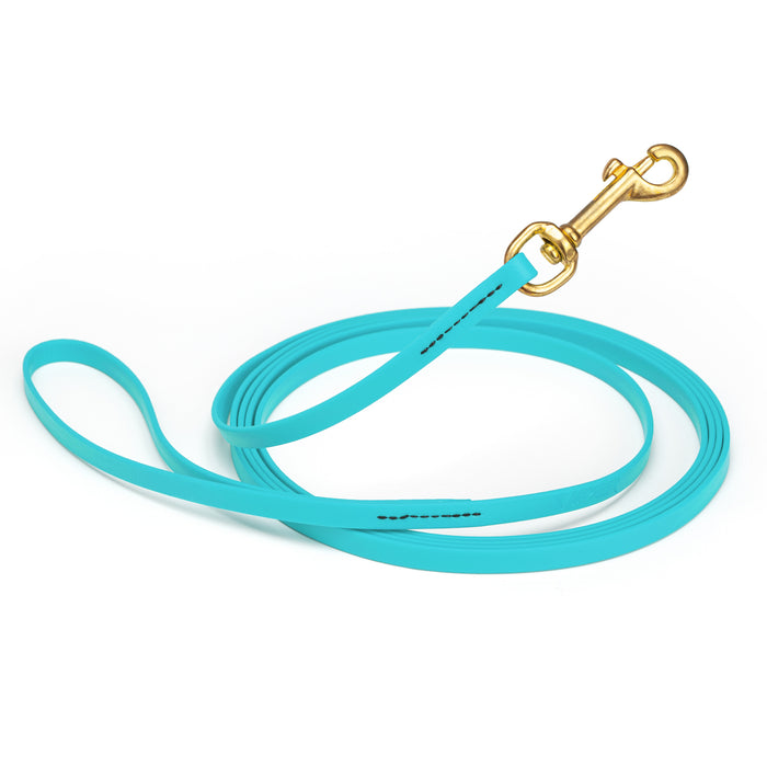 Sky blue dog leash with brass snap hook, made from waterproof and smell proof Biothane, 3/8 inches wide, 10 ft