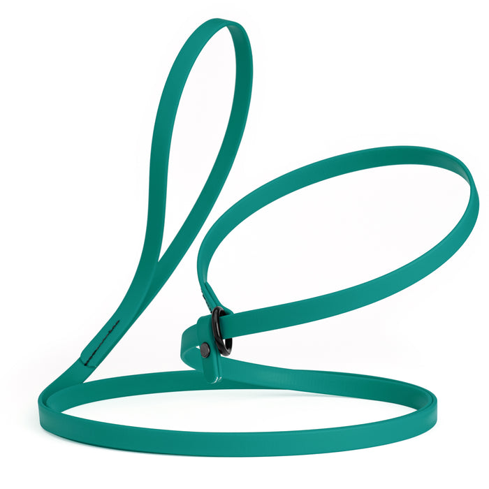 Aqua blue slip lead dog leash, made from waterproof Biothane, 1/2-inch wide