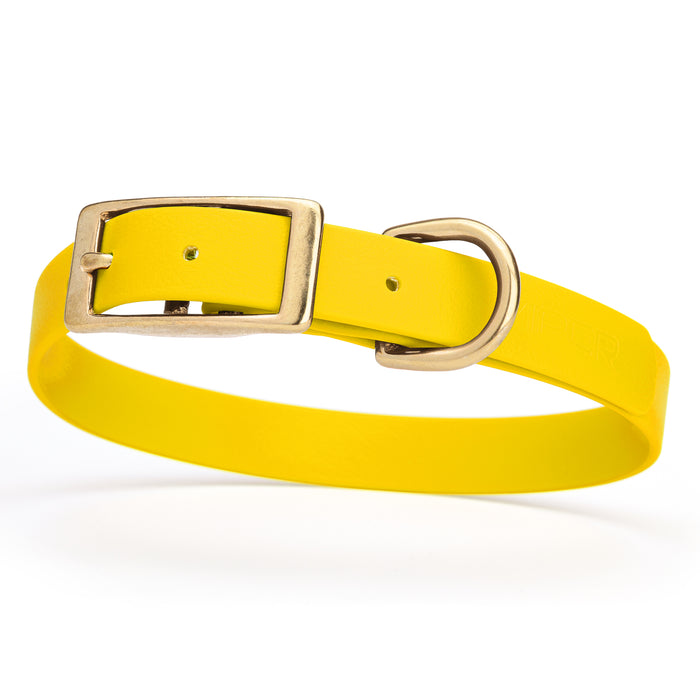 Lemon Yellow dog collar with brass buckle and D-ring, made from waterproof Biothane, medium