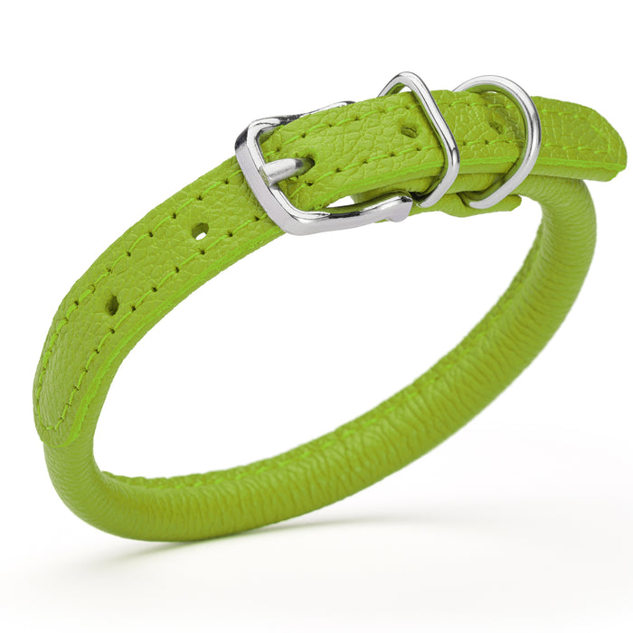 Lime Green leather dog collar with metal buckle, size XS to S