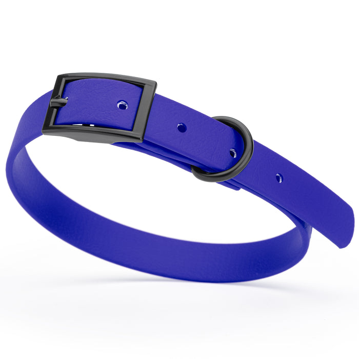 Blueberry Royal dog collar with black hardware, made from waterproof Biothane, small