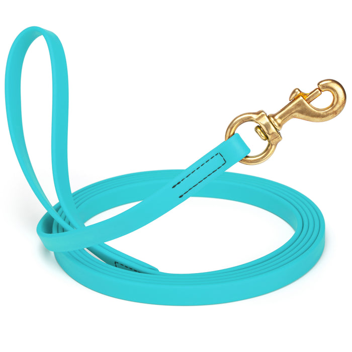 Sky blue dog leash with brass snap hook, made from waterproof and smell proof Biothane, 5/8 inches wide, 10 ft