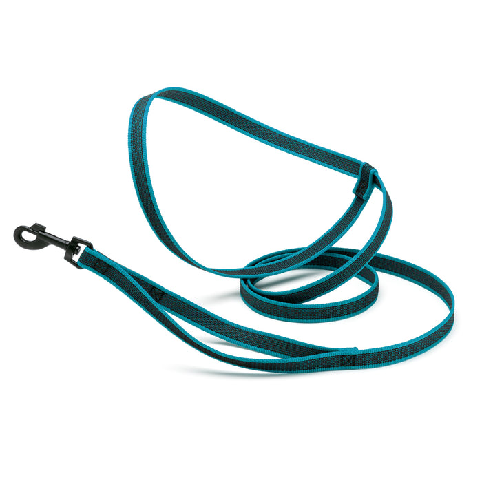 Teal rubberized nylon dog leash with traffic handle and adjustable hands-free handle, black hardware
