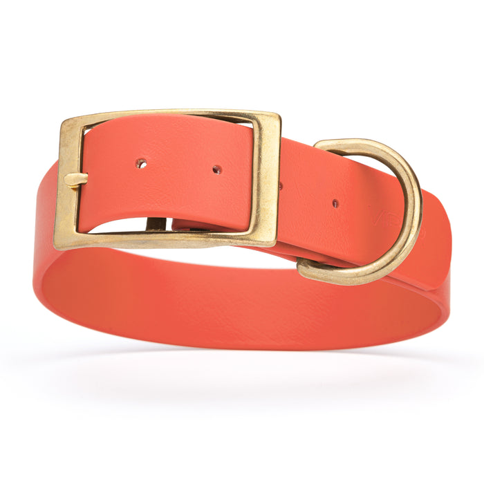 Coral dog collar with brass buckle and D-ring, made from waterproof Biothane, 1.5 in wide, X-large