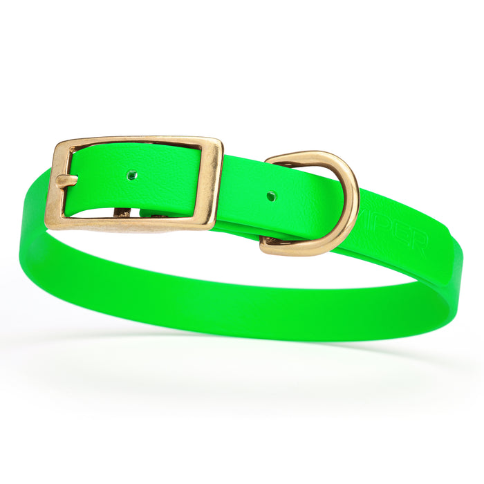 Tropical Green dog collar with brass buckle and D-ring, made from waterproof Biothane, medium