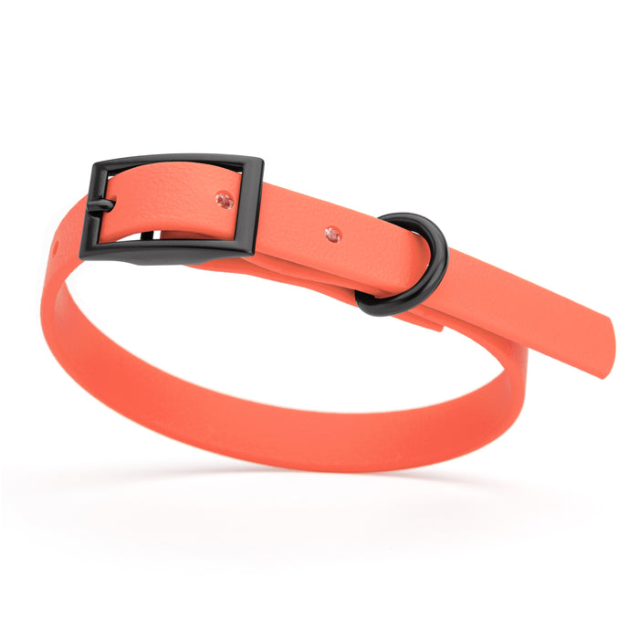 Coral dog collar with black hardware, made from waterproof Biothane