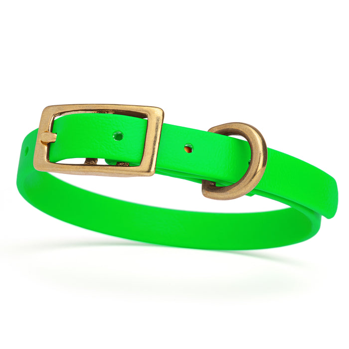 Tropical Green dog collar with brass buckle and D-ring, made from waterproof Biothane,  x-small