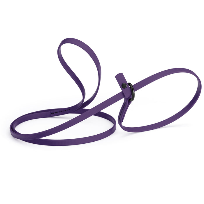 Violet Purple slip lead dog leash, made from waterproof Biothane, 3/8-inch wide