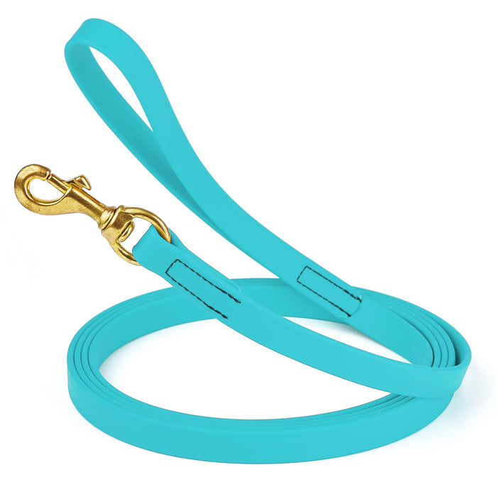 Sky blue dog leash with brass snap hook, made from waterproof and smell proof Biothane, 3/4 inches wide, 15 ft