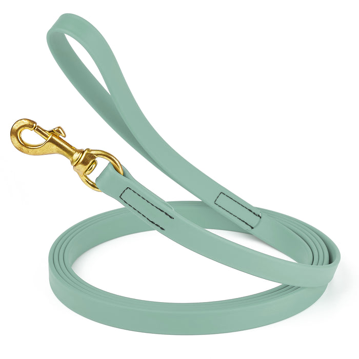 Sage Green dog leash with brass snap hook, made from waterproof and smell proof Biothane, 3/4 inches wide, 10 ft
