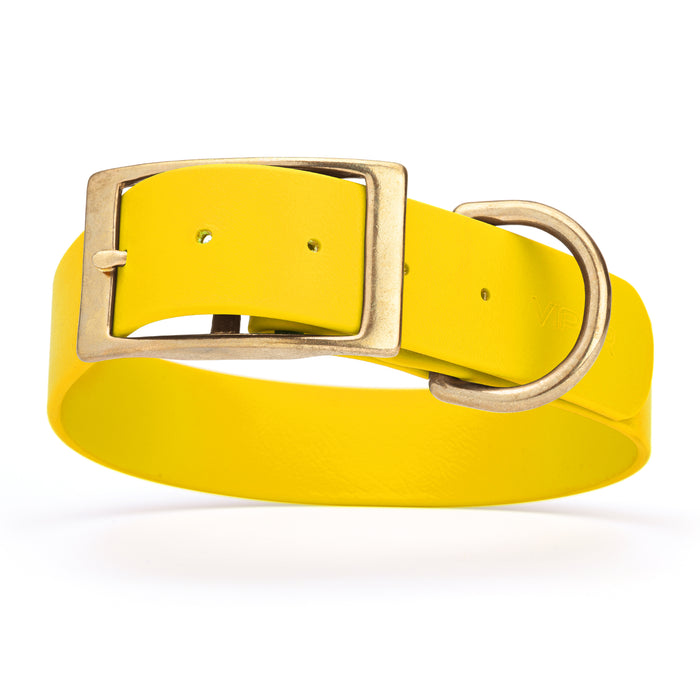 Lemon Yellow dog collar with brass buckle and D-ring, made from waterproof Biothane, 1.5 in wide, X-large