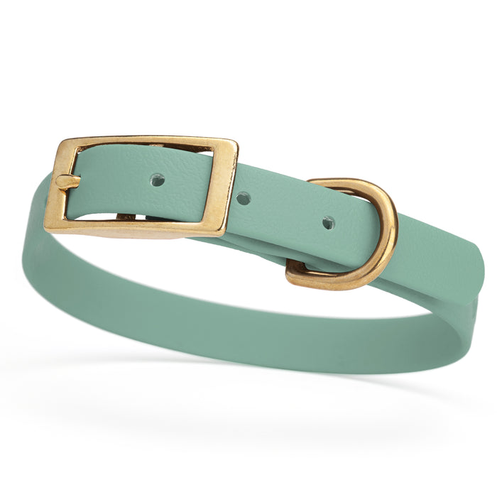 Sage Green dog collar with brass buckle and D-ring, made from waterproof Biothane, small