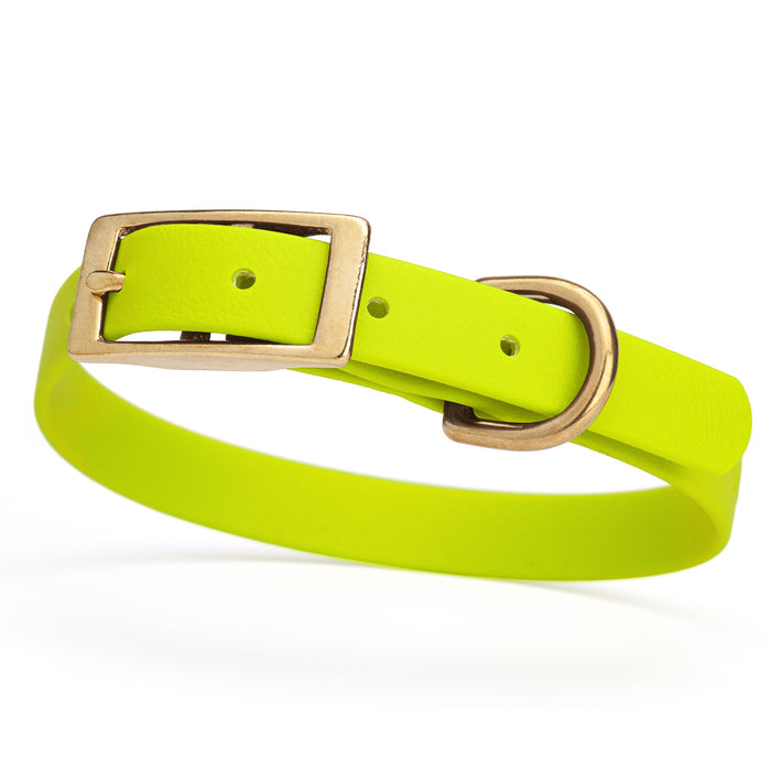 Safety Yellow dog collar with brass buckle and D-ring, made from waterproof Biothane, small