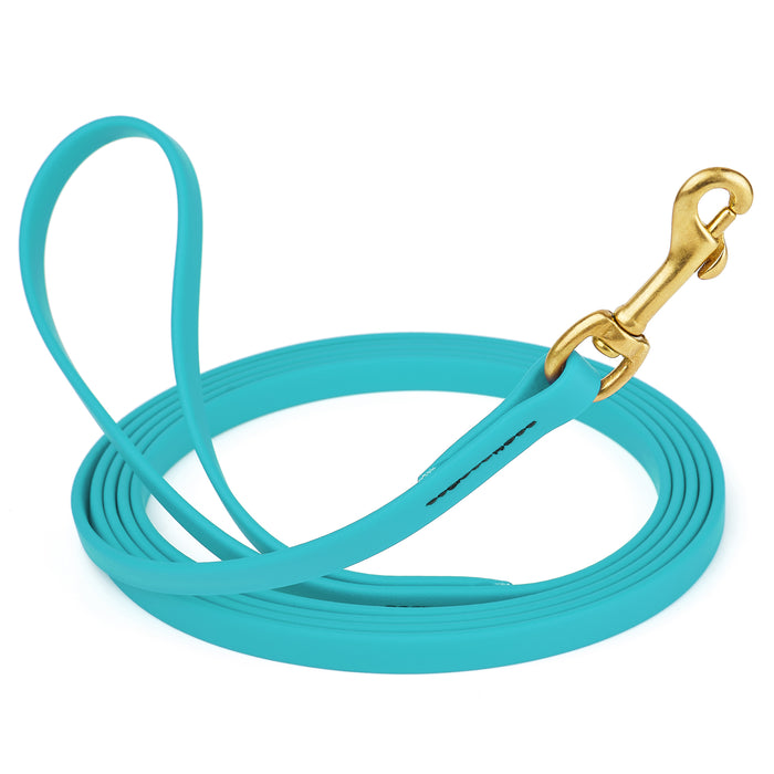 Sky blue dog leash with brass snap hook, made from waterproof and smell proof Biothane, 1/2 inches wide, 33 ft