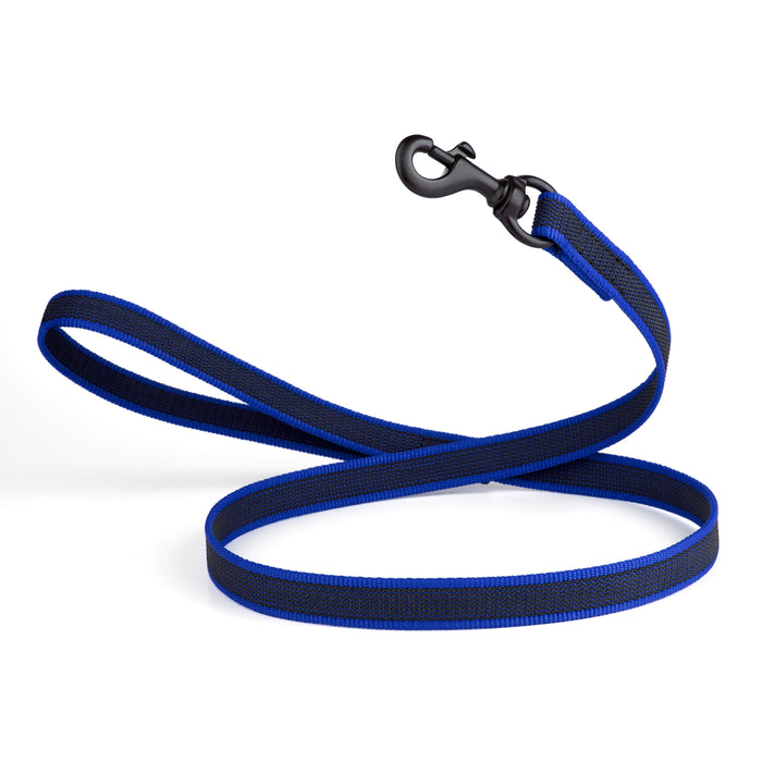 Blue rubberized nylon dog leash with handle and black snap hook, 4 feet long