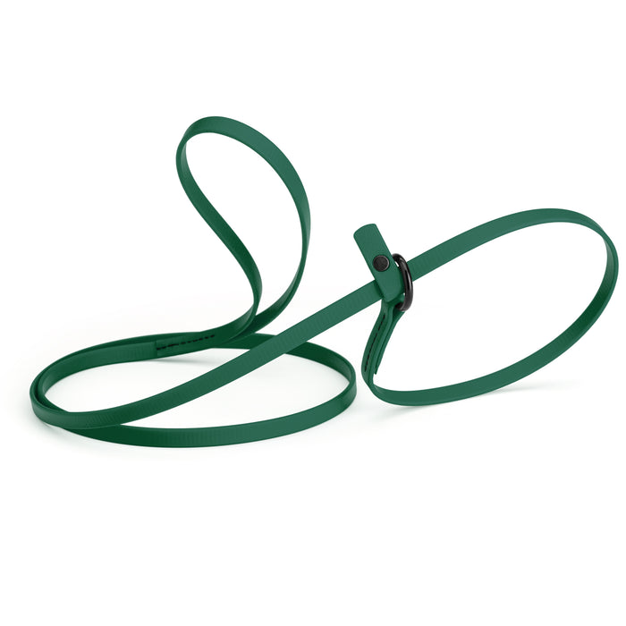 Hunter Green slip lead dog leash, made from waterproof Biothane, 3/8-inch wide