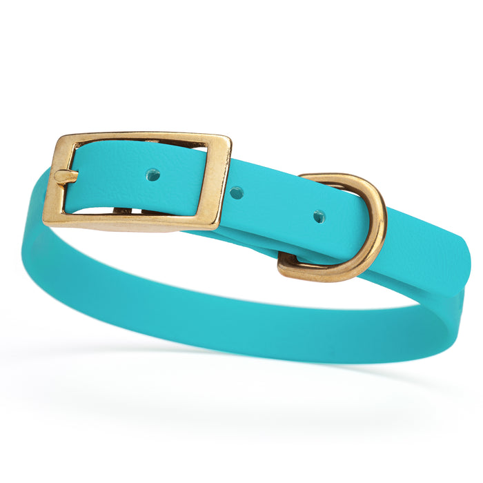 Sky blue dog collar with brass buckle and D-ring, made from waterproof Biothane, small