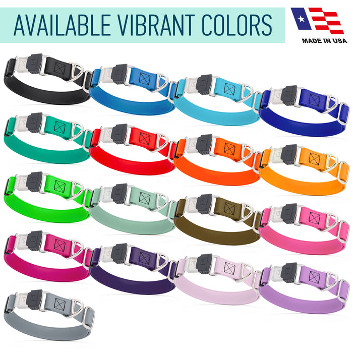 Biothane waterproof collars for dogs with Herm Sprenger stainless steel quick release buckle, 17 different colors