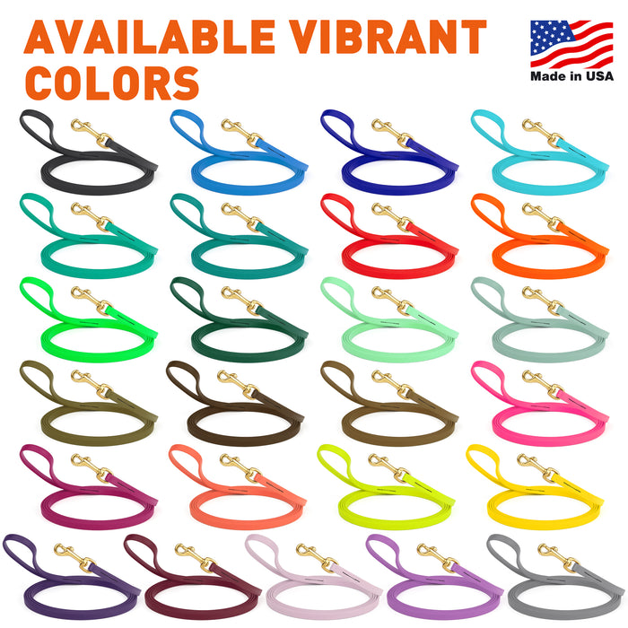 Biothane waterproof leashes for dogs with brass hardware, 10 feet long, 25 different colors