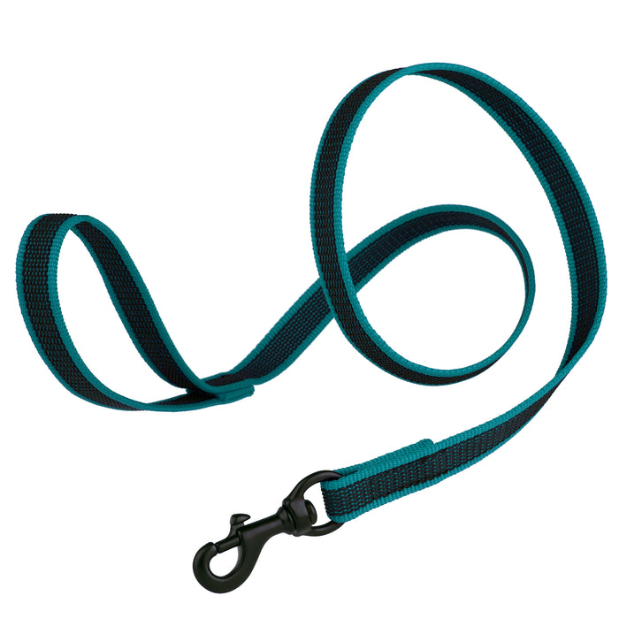 Teal rubberized nylon dog leash with handle and black snap hook, 6 feet long
