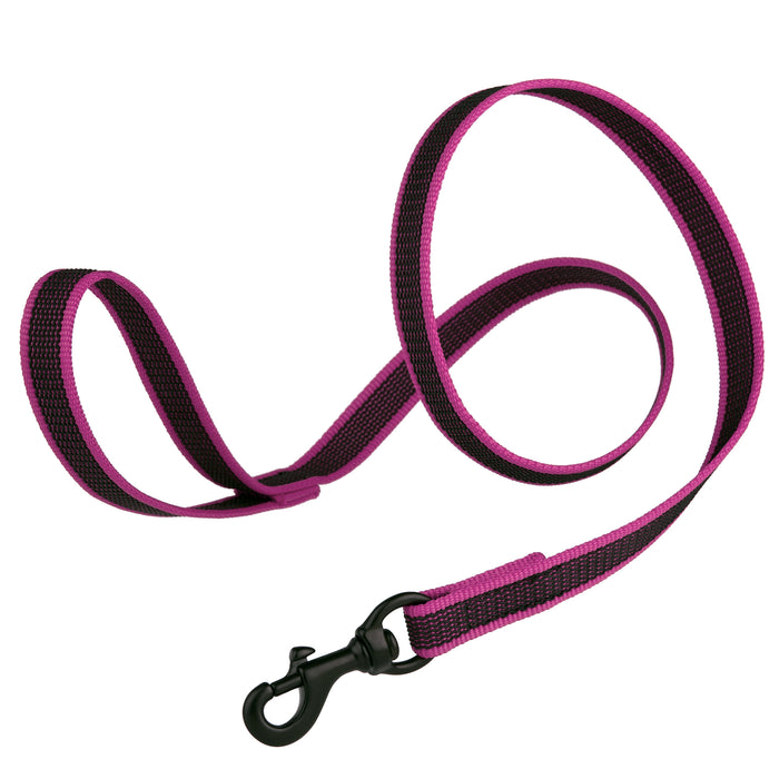 Pink rubberized nylon dog leash with handle and black snap hook, 6 feet long