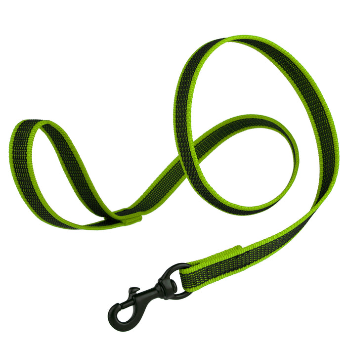 Green rubberized nylon dog leash with handle and black snap hook, 6 feet long
