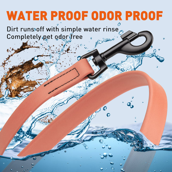 Biothane Waterproof Dog Leash 6 ft