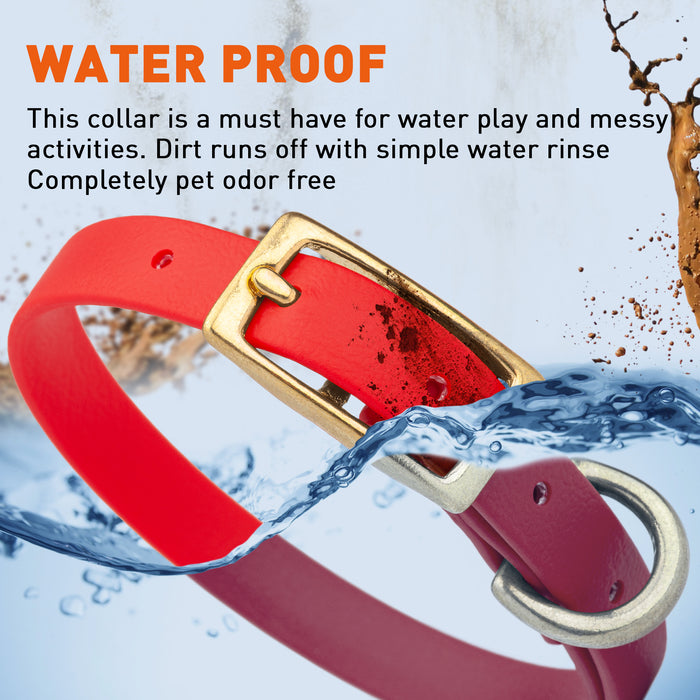 Viper Biothane Waterproof Collar - Brass Hardware - Size XS (9 to 12 inches)
