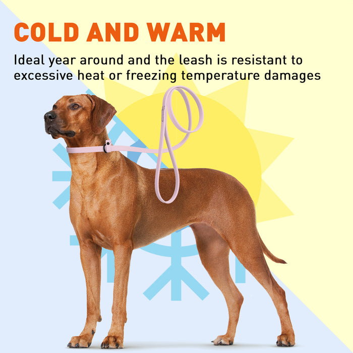 Biothane Dog Slip Lead