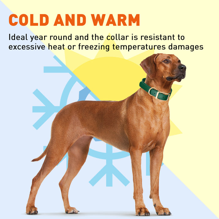 Viper Biothane Waterproof Collar - Brass Hardware - Size XS (9 to 12 inches)