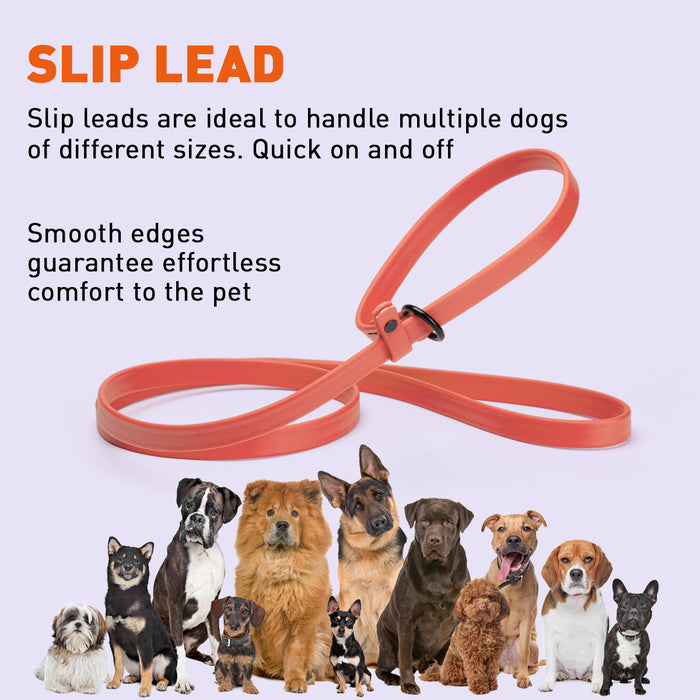 Biothane Dog Slip Lead