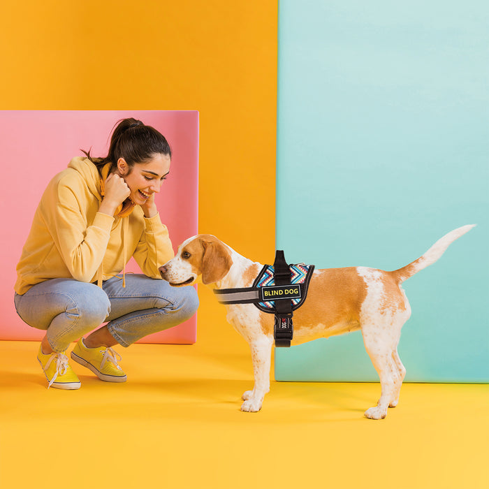 Dogline Blind Dog 3D Rubber Patches