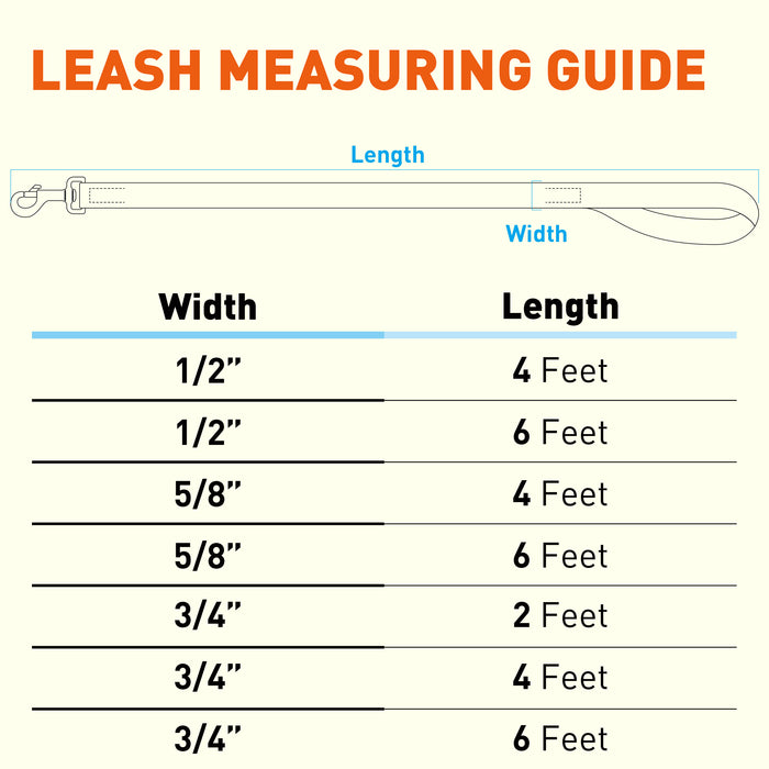 Biothane Waterproof Dog Leash 4 ft