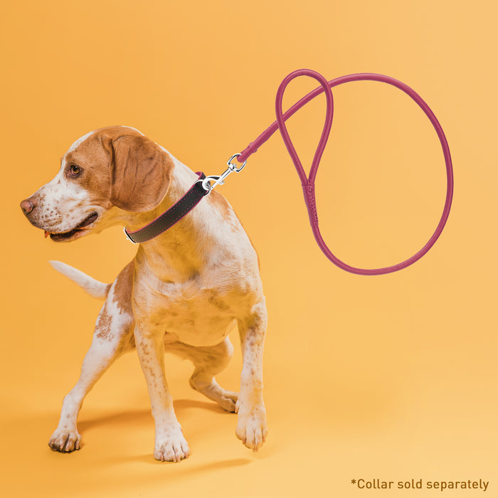 Soft Leather Round Dog Lead