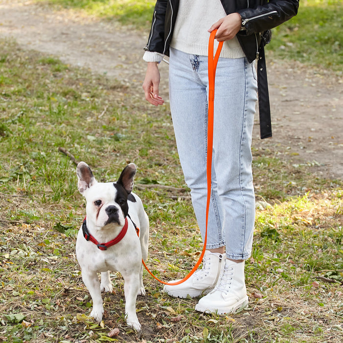 Biothane Waterproof Dog Leash 6 ft