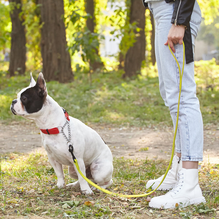 Biothane Waterproof Dog Leash 6 ft