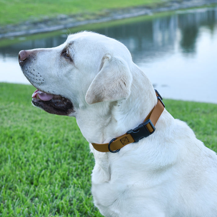 Dogline Biothane Waterproof Dog Collar with Quick Release Buckle