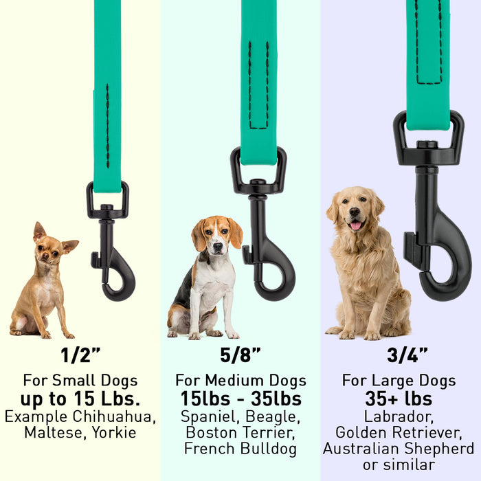 Biothane Waterproof Dog Leash 6 ft