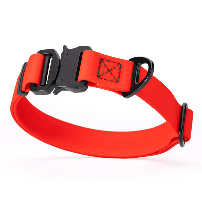 Red dog collar with metal buckle and D-ring, waterproof and adjustable