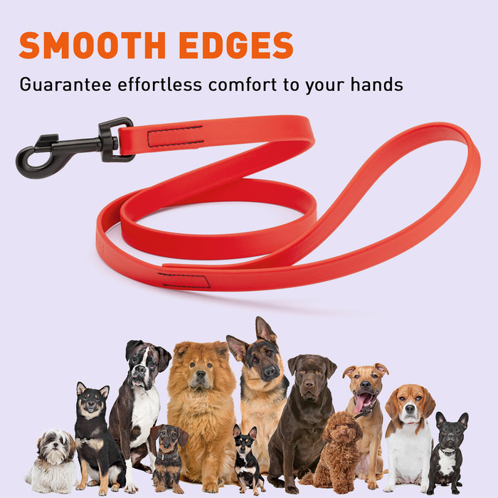 Biothane Waterproof Dog Leash 4 ft