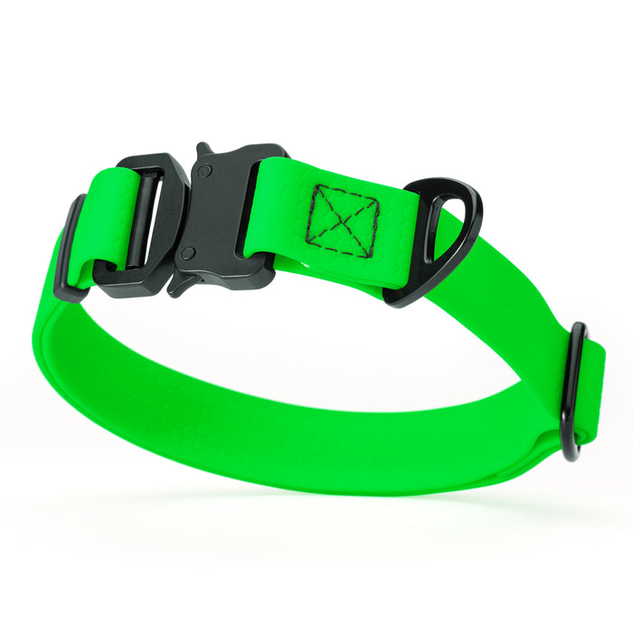 Green dog collar with metal buckle and D-ring, waterproof and adjustable