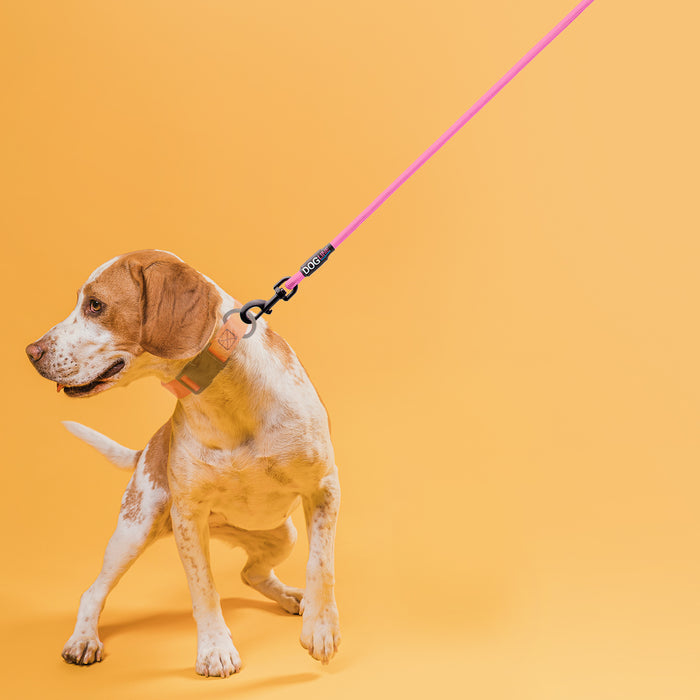 Nylon Round Lead