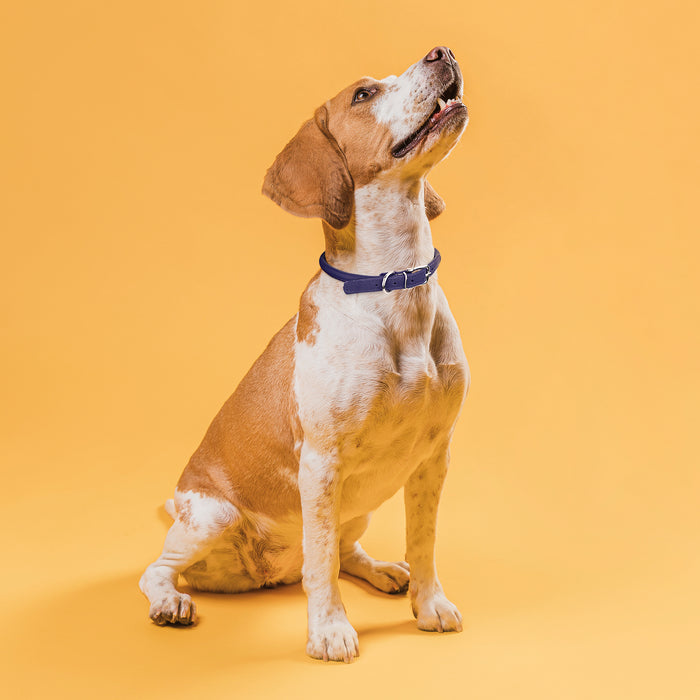Soft Leather Round Dog Collar