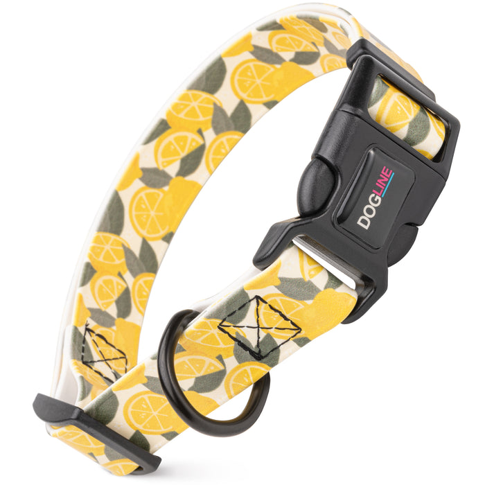 Dogline 1" Biothane Printed Dog Collar with Quick Release Buckle