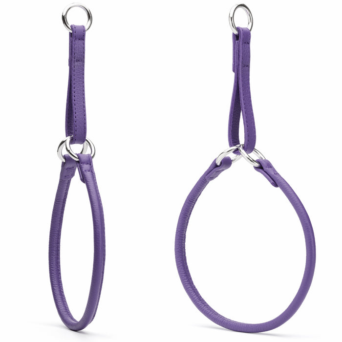 Soft Leather Round Martingale Collar for Dogs